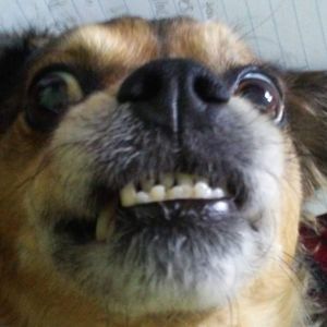 Meet your Posher, Destiny